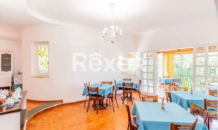 Rexer-Forio-VILLA-IMMERSA-NEL-VERDE-IN-VENDITA-A-FORIO-ISOLA-DISCHIA-Altro