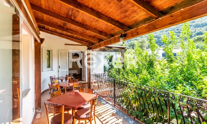 Rexer-Forio-VILLA-IMMERSA-NEL-VERDE-IN-VENDITA-A-FORIO-ISOLA-DISCHIA-Altro