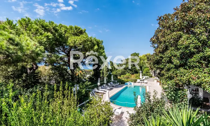 Rexer-Forio-VILLA-IMMERSA-NEL-VERDE-IN-VENDITA-A-FORIO-ISOLA-DISCHIA-Altro