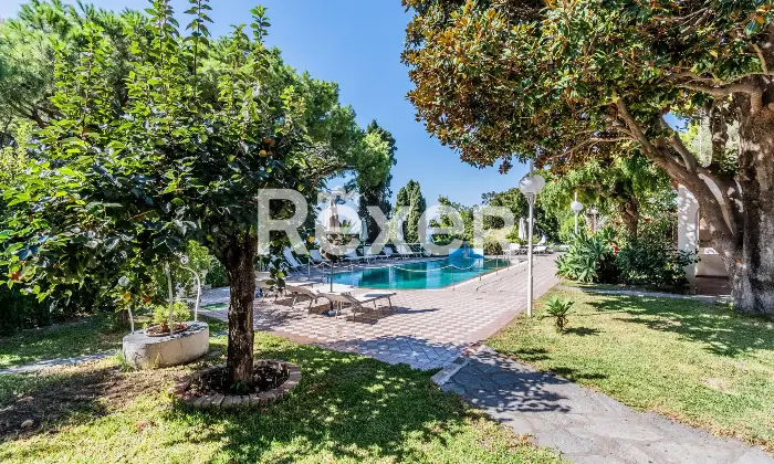 Rexer-Forio-VILLA-IMMERSA-NEL-VERDE-IN-VENDITA-A-FORIO-ISOLA-DISCHIA-Altro