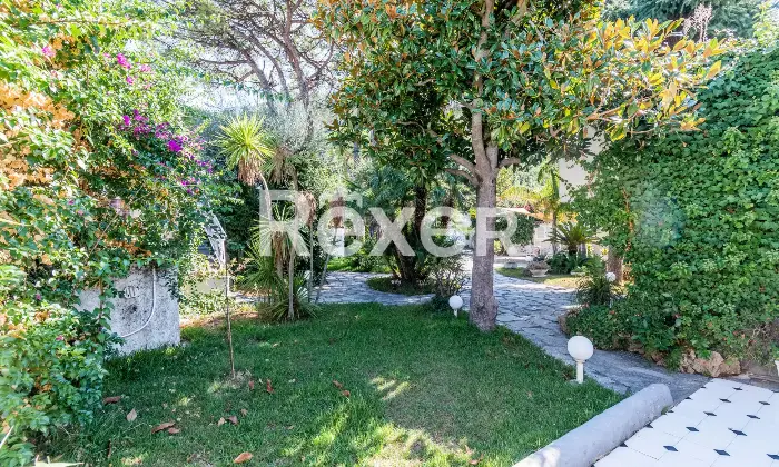 Rexer-Forio-VILLA-IMMERSA-NEL-VERDE-IN-VENDITA-A-FORIO-ISOLA-DISCHIA-Altro