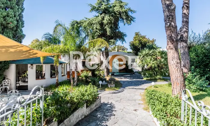 Rexer-Forio-VILLA-IMMERSA-NEL-VERDE-IN-VENDITA-A-FORIO-ISOLA-DISCHIA-Altro