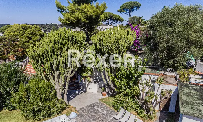 Rexer-Forio-VILLA-IMMERSA-NEL-VERDE-IN-VENDITA-A-FORIO-ISOLA-DISCHIA-Altro