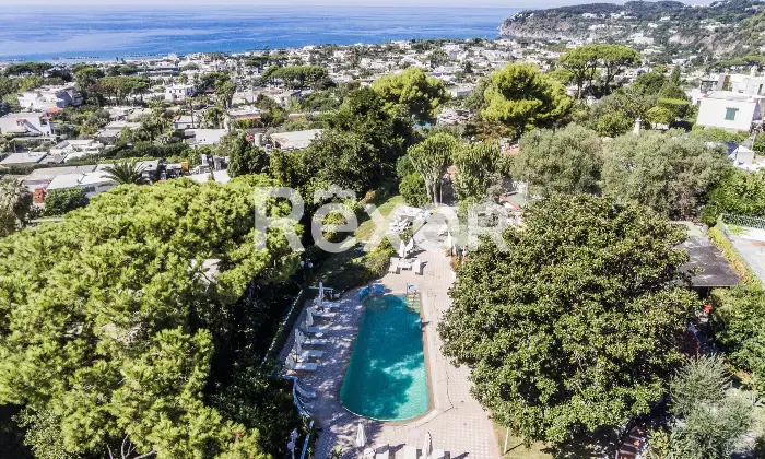 Rexer-Forio-VILLA-IMMERSA-NEL-VERDE-IN-VENDITA-A-FORIO-ISOLA-DISCHIA-Altro