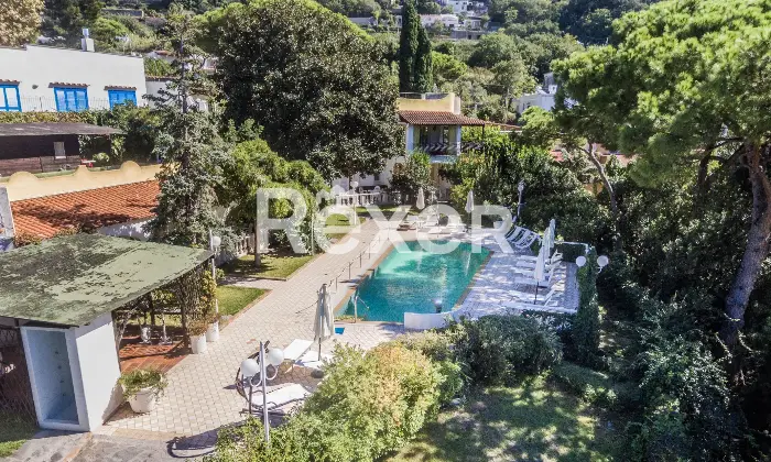 Rexer-Forio-VILLA-IMMERSA-NEL-VERDE-IN-VENDITA-A-FORIO-ISOLA-DISCHIA-Altro
