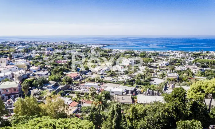 Rexer-Forio-VILLA-IMMERSA-NEL-VERDE-IN-VENDITA-A-FORIO-ISOLA-DISCHIA-Altro