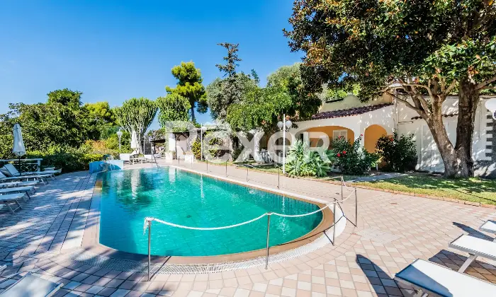 Rexer-Forio-VILLA-IMMERSA-NEL-VERDE-IN-VENDITA-A-FORIO-ISOLA-DISCHIA-Altro