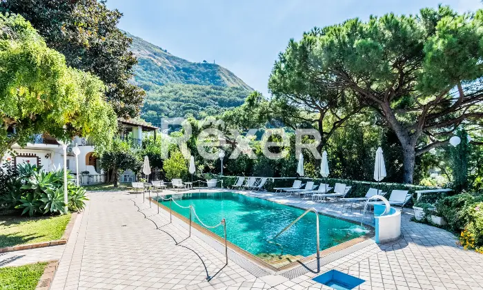 Rexer-Forio-VILLA-IMMERSA-NEL-VERDE-IN-VENDITA-A-FORIO-ISOLA-DISCHIA-Altro