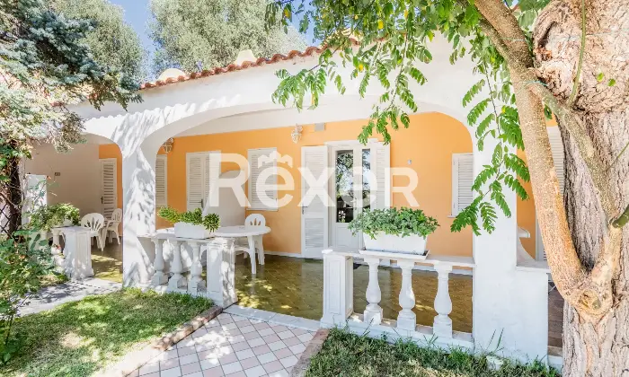 Rexer-Forio-VILLA-IMMERSA-NEL-VERDE-IN-VENDITA-A-FORIO-ISOLA-DISCHIA-Altro