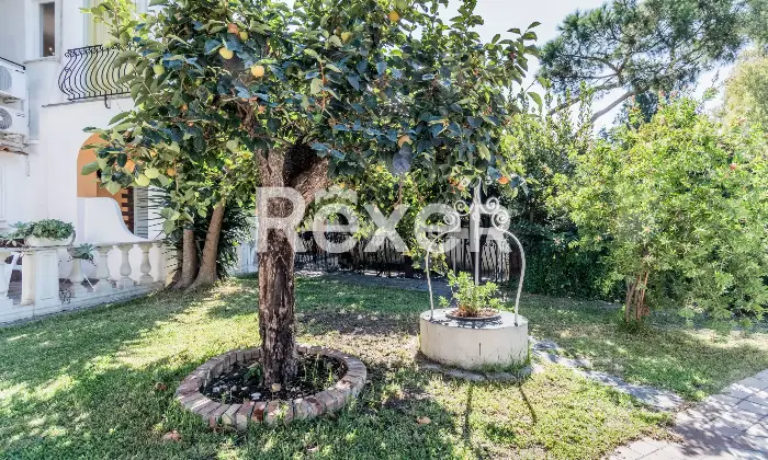 Rexer-Forio-VILLA-IMMERSA-NEL-VERDE-IN-VENDITA-A-FORIO-ISOLA-DISCHIA-Altro