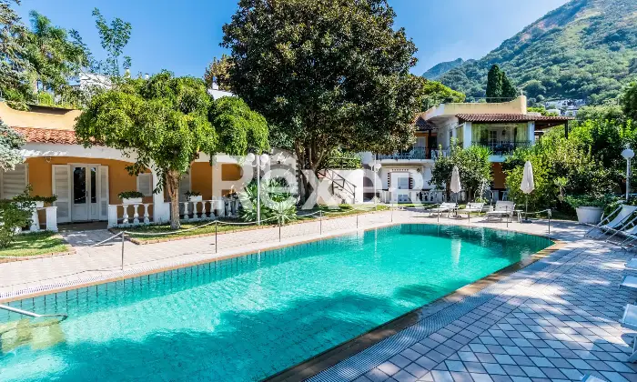 Rexer-Forio-VILLA-IMMERSA-NEL-VERDE-IN-VENDITA-A-FORIO-ISOLA-DISCHIA-Altro