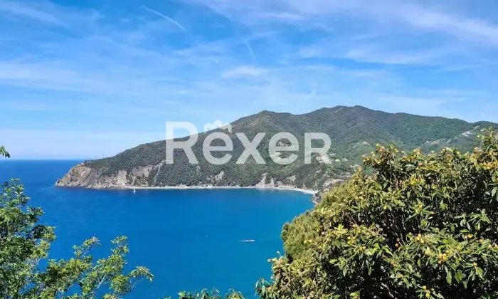 Rexer-Moneglia-Propriet-rustica-in-vendita-in-Frazione-Lemeglio-a-Moneglia-Altro