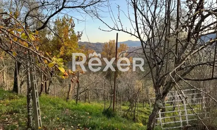 Rexer-Calice-al-Cornoviglio-Casa-indipendente-in-vendita-in-Localit-Posticcio-a-Calice-al-Cornoviglio-Altro