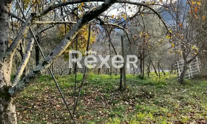 Rexer-Calice-al-Cornoviglio-Casa-indipendente-in-vendita-in-Localit-Posticcio-a-Calice-al-Cornoviglio-Altro