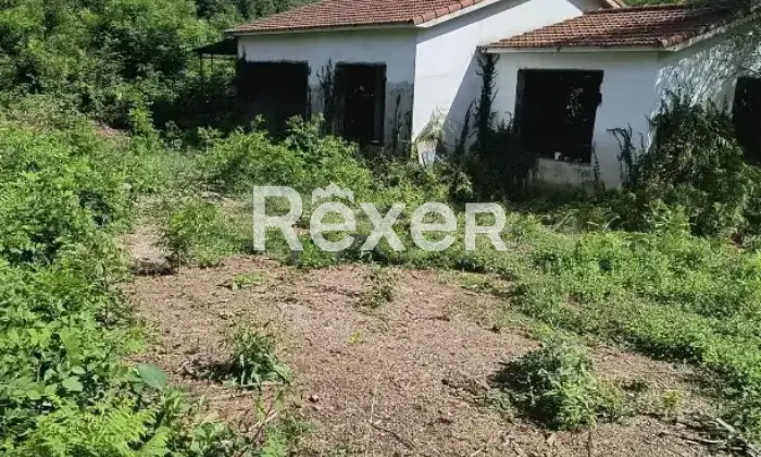 Rexer-Calice-al-Cornoviglio-Rustico-con-ampio-terreno-e-manufatti-da-ultimare-Calice-al-Cornoviglio-Altro