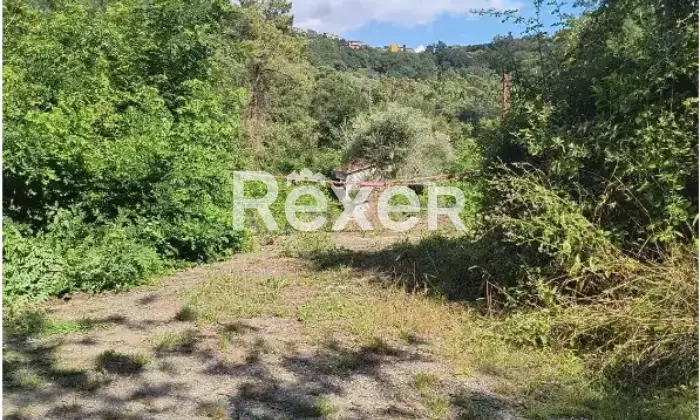 Rexer-Calice-al-Cornoviglio-Rustico-con-ampio-terreno-e-manufatti-da-ultimare-Calice-al-Cornoviglio-Altro