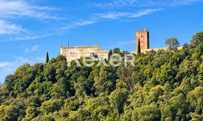 Rexer-Montecchio-Maggiore-Ampio-attico-con-terrazza-Altro