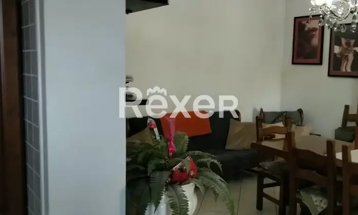 Rexer-Riva-del-Po-Casa-indipendente-in-vendita-in-Via-Brusantina-P-a-Riva-del-Po-Altro