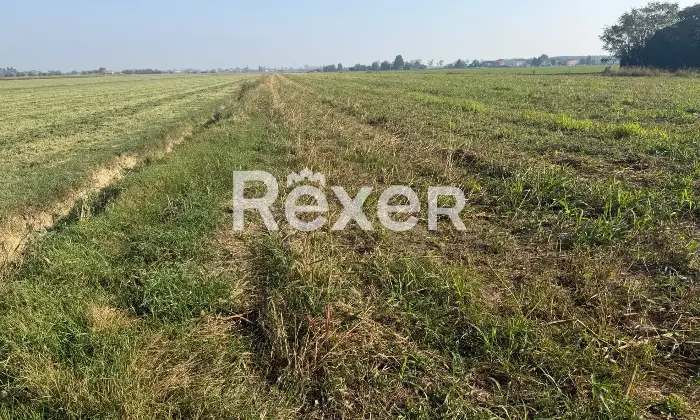 Rexer-Concordia-sulla-Secchia-Terreno-agricolo-in-vendita-in-Via-Mazzalupi-a-Concordia-Sulla-Seccia-Altro