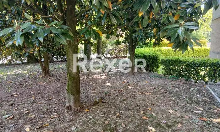 Rexer-Parma-PRIVATO-VENDE-Trilocale-con-Garage-doppi-servizi-no-agenzia-Giardino