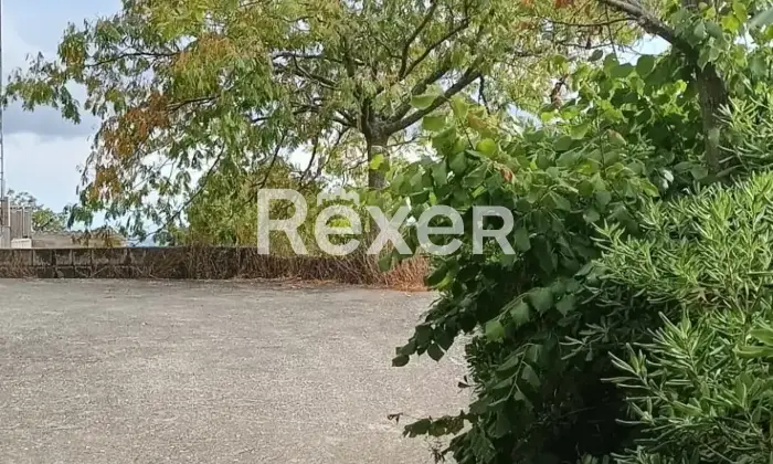 Rexer-Liscia-Casa-indipendente-allo-stato-grezzo-in-vendita-in-Via-San-Michele-a-Liscia-Altro