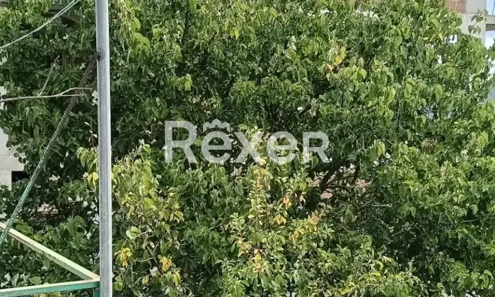 Rexer-Liscia-Casa-indipendente-allo-stato-grezzo-in-vendita-in-Via-San-Michele-a-Liscia-Altro