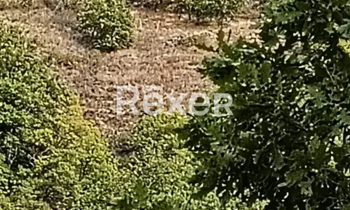 Rexer-Liscia-Casa-indipendente-allo-stato-grezzo-in-vendita-in-Via-San-Michele-a-Liscia-Altro