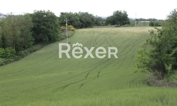 Rexer-Colli-al-Metauro-Villa-in-vendita-in-Strada-Provinciale-a-Colli-al-Metauro-Altro