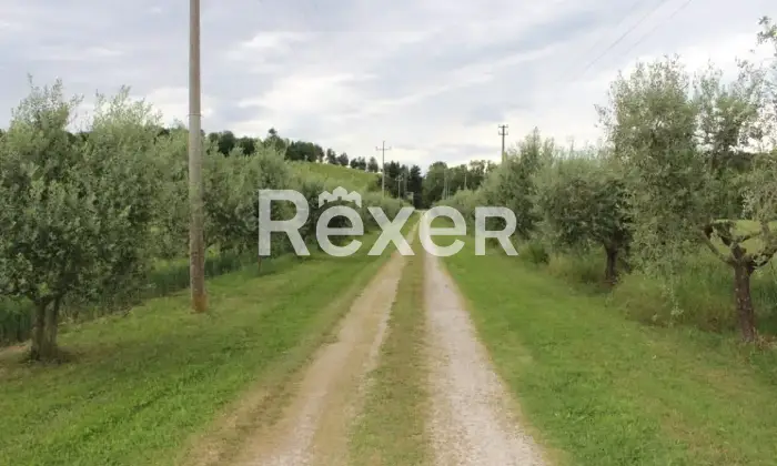Rexer-Colli-al-Metauro-Villa-in-vendita-in-Strada-Provinciale-a-Colli-al-Metauro-Altro