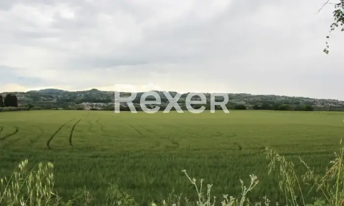Rexer-Colli-al-Metauro-Villa-in-vendita-in-Strada-Provinciale-a-Colli-al-Metauro-Altro