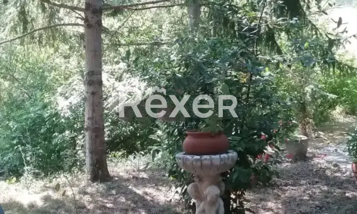 Rexer-Massa-Casa-indipendente-con-giardino-mini-appartamento-e-ampi-spazi-esterni-Altro