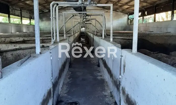 Rexer-Colli-al-Metauro-Cappanone-in-vendita-in-SP-a-Colli-al-Metauro-Altro