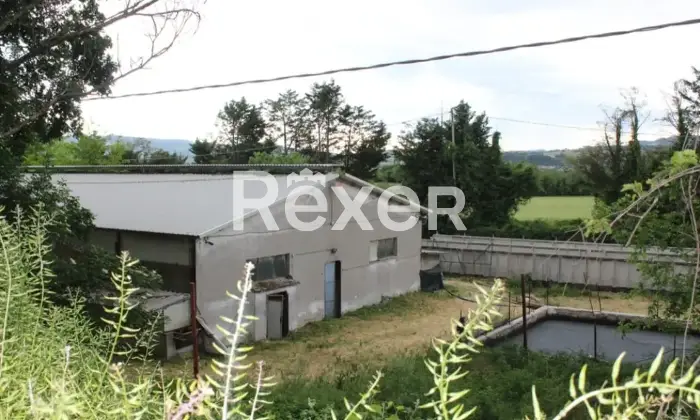 Rexer-Colli-al-Metauro-Cappanone-in-vendita-in-SP-a-Colli-al-Metauro-Altro