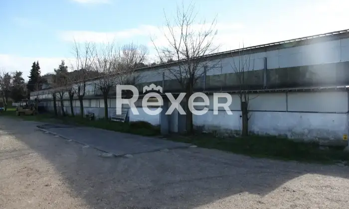 Rexer-Colli-al-Metauro-Cappanone-in-vendita-in-SP-a-Colli-al-Metauro-Altro