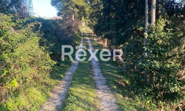 Rexer-Cascinare-Cascina-in-vendita-in-Via-Ugo-Foscolo-a-Cascinare-Altro