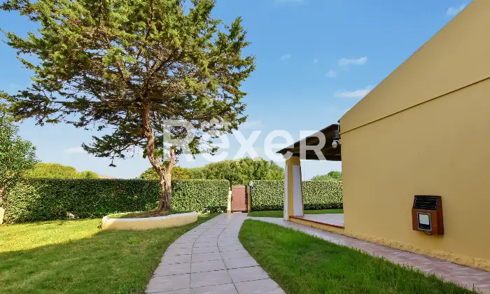 Rexer-Stintino-Porzione-di-villa-bifamiliare-con-ingresso-indipendente-piscina-privata-e-ampio-giardino-Giardino