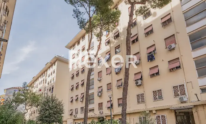 Rexer-Roma-Bilocale-con-box-auto-Altro