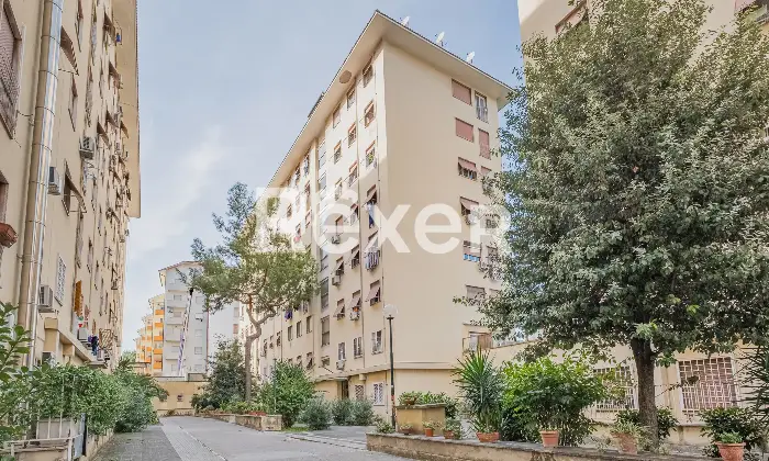 Rexer-Roma-Bilocale-con-box-auto-Altro