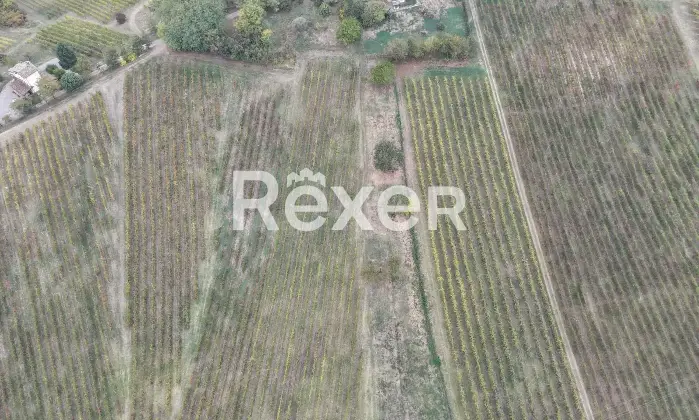 Rexer-Mont-Beccaria-Casa-indipendente-di-ampia-metratura-con-giardino-e-vista-panoramica-Mont-Beccaria-Altro