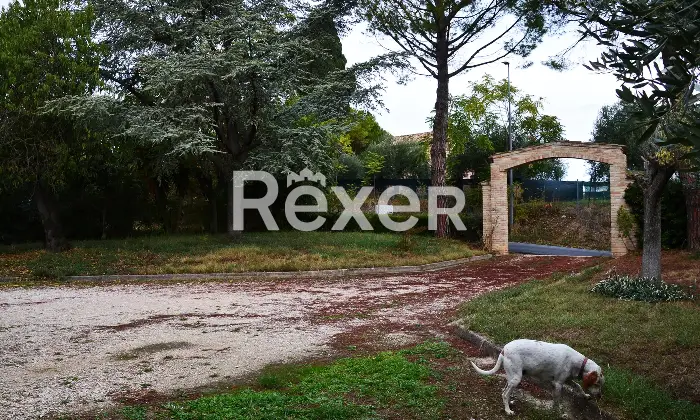 Rexer-SantElpidio-a-Mare-Casa-indipendente-in-vendita-in-Via-S-Giuseppe-a-SantElpidio-a-Mare-Giardino