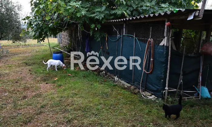 Rexer-SantElpidio-a-Mare-Casa-indipendente-in-vendita-in-Via-S-Giuseppe-a-SantElpidio-a-Mare-Giardino