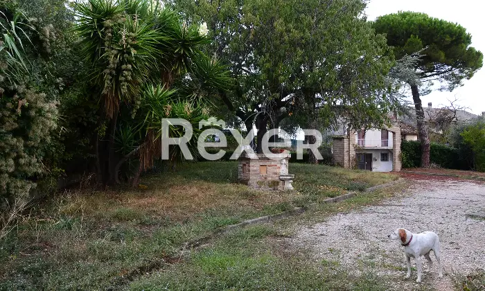 Rexer-SantElpidio-a-Mare-Casa-indipendente-in-vendita-in-Via-S-Giuseppe-a-SantElpidio-a-Mare-Giardino