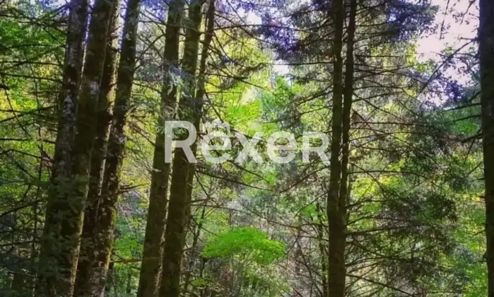 Rexer-Pescolanciano-Casa-indipendente-in-vendita-in-Via-Garibaldi-a-Pescolanciano-Altro