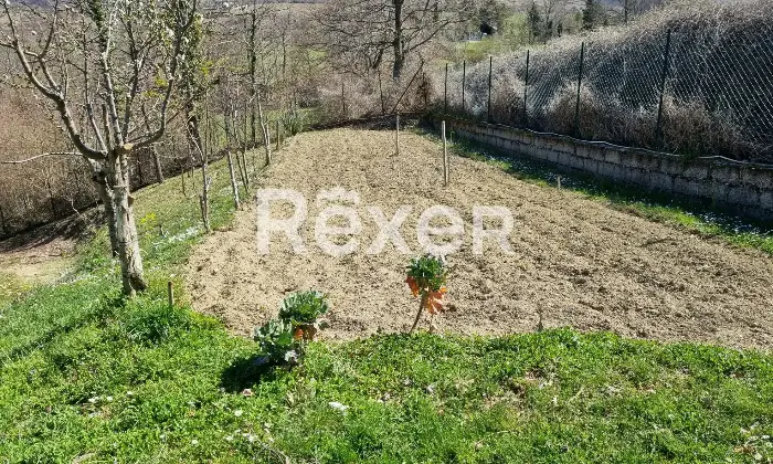 Rexer-SantAngelo-del-Pesco-Propriet-rustica-in-vendita-in-via-Roma-a-SantAngelo-del-Pesco-Altro