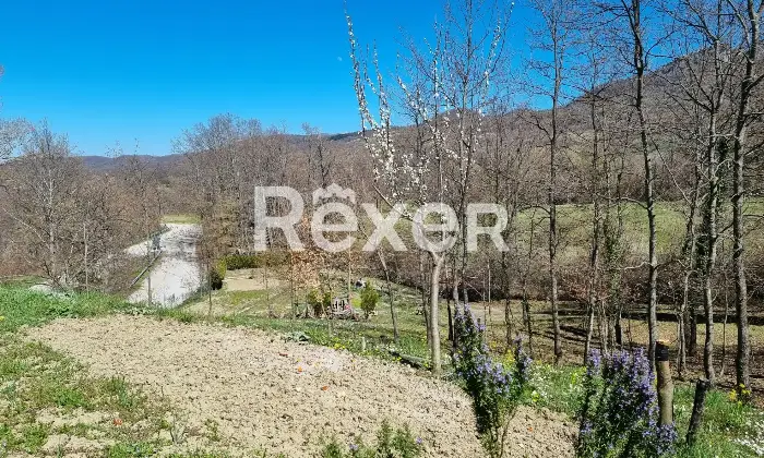 Rexer-SantAngelo-del-Pesco-Propriet-rustica-in-vendita-in-via-Roma-a-SantAngelo-del-Pesco-Altro