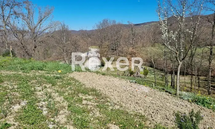 Rexer-SantAngelo-del-Pesco-Propriet-rustica-in-vendita-in-via-Roma-a-SantAngelo-del-Pesco-Altro