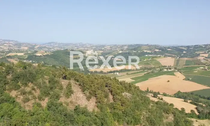 Rexer-Montedinove-Casa-di-paese-in-vendita-in-Via-Giosu-Carducci-a-Montedinove-Altro