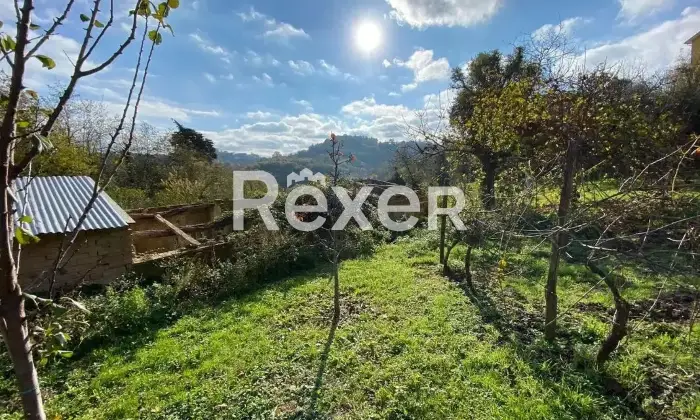 Rexer-SantAngelo-in-Pontano-Propriet-rustica-in-vendita-in-Contrada-LImmacolata-a-SantAngelo-in-Pontano-Altro