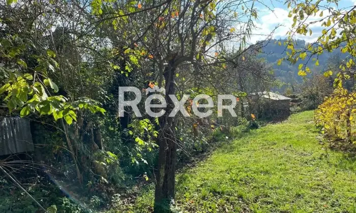Rexer-SantAngelo-in-Pontano-Propriet-rustica-in-vendita-in-Contrada-LImmacolata-a-SantAngelo-in-Pontano-Altro