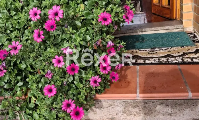 Rexer-Montelupone-Villetta-bifamiliare-in-vendita-in-Contrada-San-Nicol-a-Montelupone-Altro